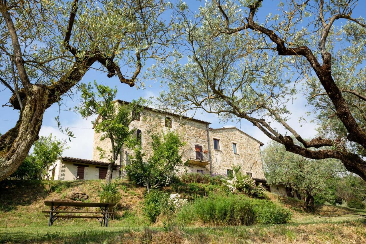 Villa Colle Di Rocco Limigiano Exteriör bild