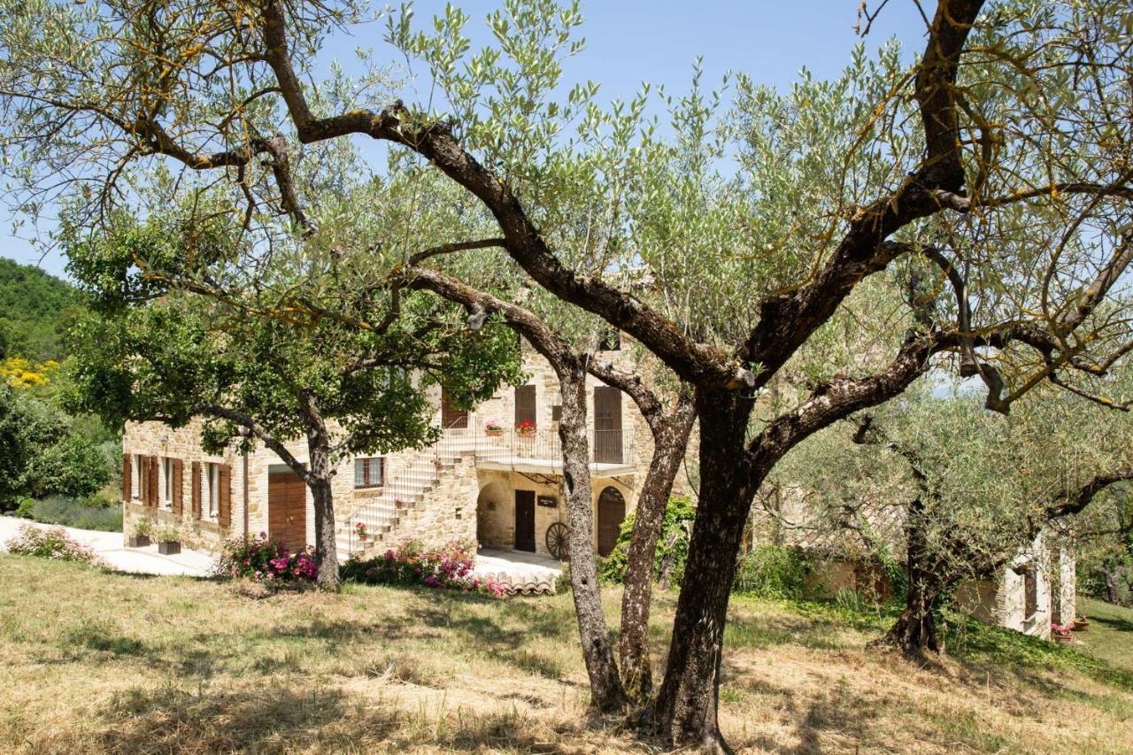 Villa Colle Di Rocco Limigiano Exteriör bild